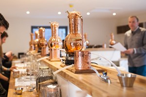 Gin School for Two with Salcombe Gin picture