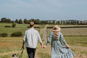 Three Vineyard Bus Tour with Wine Tasting and Lunch for Two picture