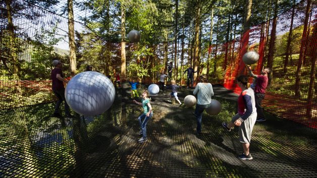Treetop Nets at Zip World for Two picture