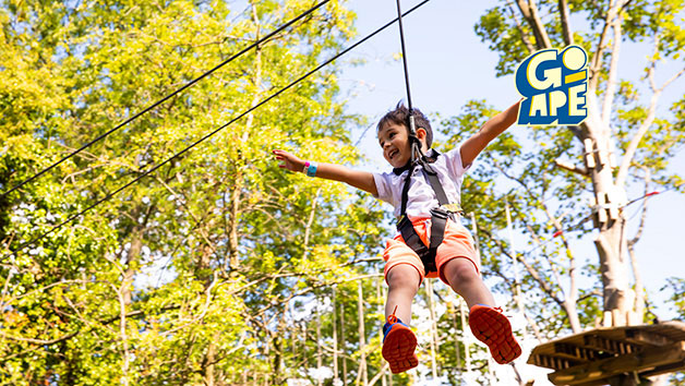 Treetop Adventure at Go Ape for One Image 1