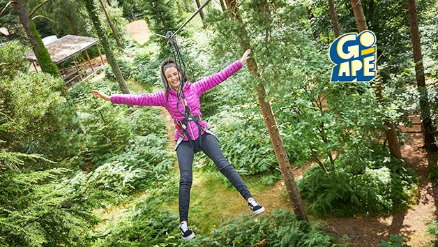 Treetop Challenge at Go Ape for One Adult Image 1