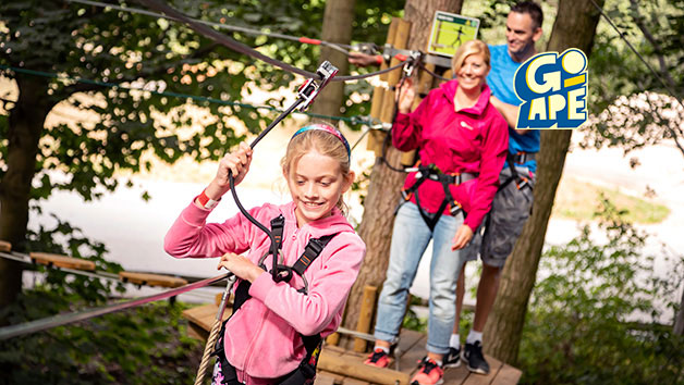 Treetop Adventure at Go Ape for Two picture