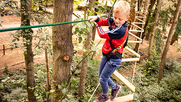 Treetop Adventure at Go Ape for Two Image 5