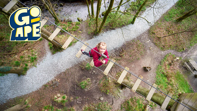 Junior Treetop Adventure At Go Ape For Two Red Letter Days