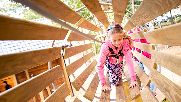 Treetop Adventure at Go Ape for Two Image 4