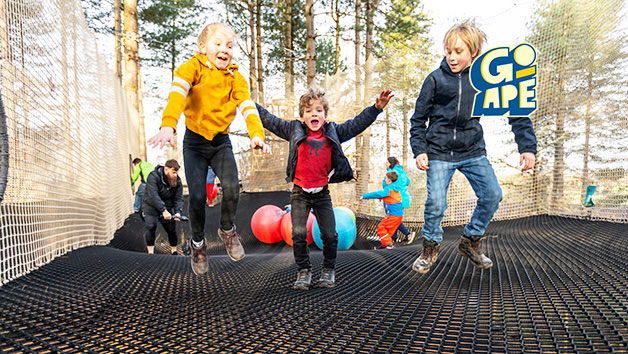 Nets Adventure Experience at Go Ape for One Adult and One Child Image 1