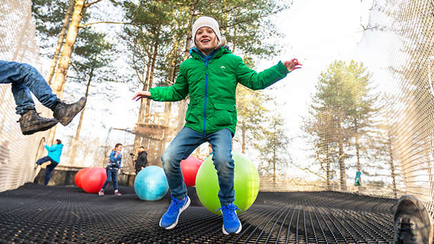 Nets Adventure Experience at Go Ape for One Adult and One Child Image 3