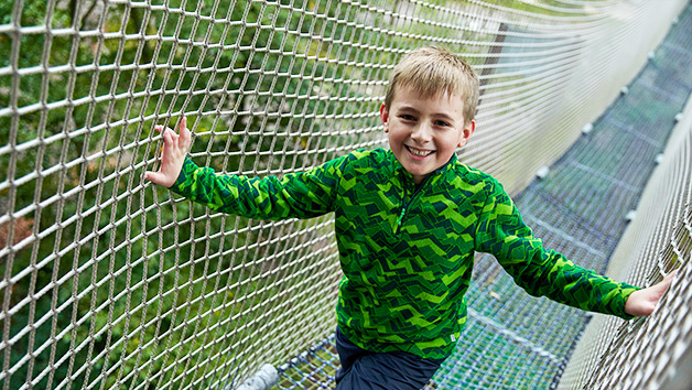 Nets Adventure Experience at Go Ape for One Adult and One Child Image 4