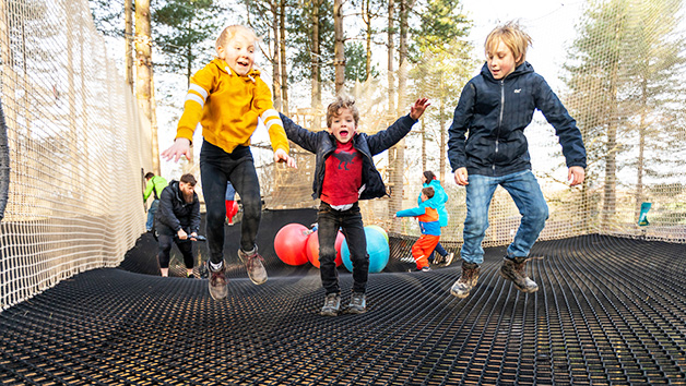 Nets Adventure Experience at Go Ape for One Image 2