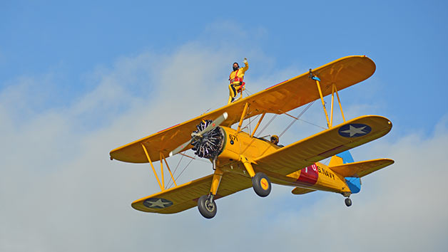 Wing Walking Experience for One Person Image 2