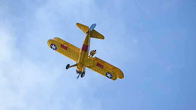 Wing Walking Experience for One Person Image 4