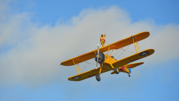 Wing Walking Experience for One Person Image 5