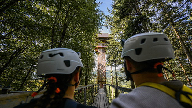 Forest Coaster and Plummet for One Person at Zip World Image 3