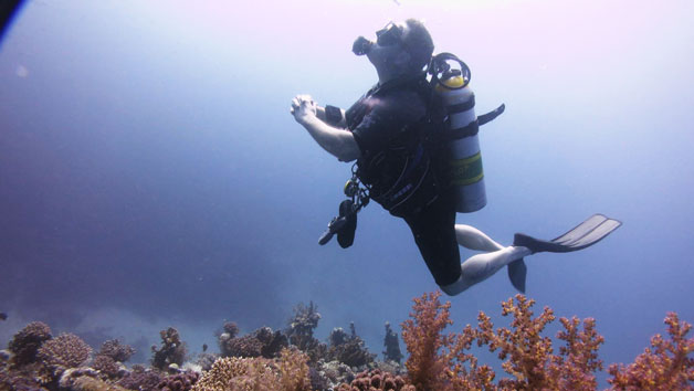 90 Minute Scuba Diving for Two at Dive Oddysea Image 2