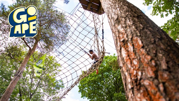 Tree Top Challenge At Go Ape For Two People Red Letter Days