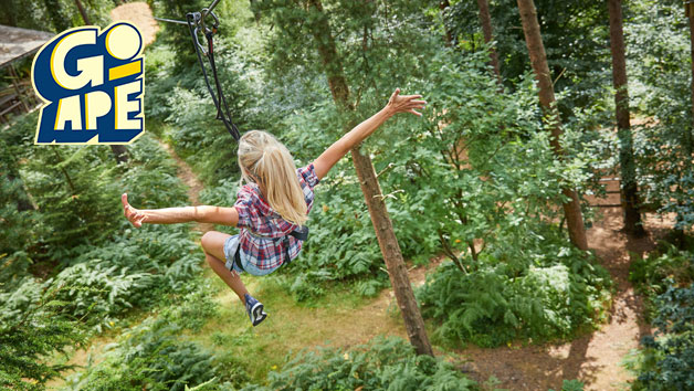 Tree Top Challenge At Go Ape For One Adult Red Letter Days