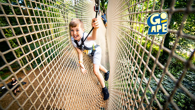 Treetop Adventure Plus at Go Ape for Two Image 1