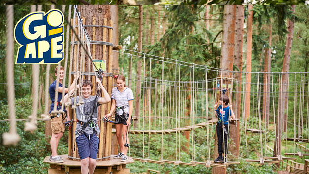 Treetop Adventure Plus At Go Ape For Two Red Letter Days