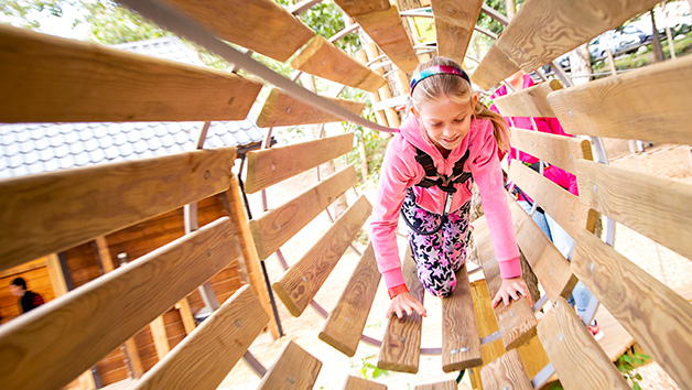 Treetop Adventure Plus at Go Ape for One Image 3