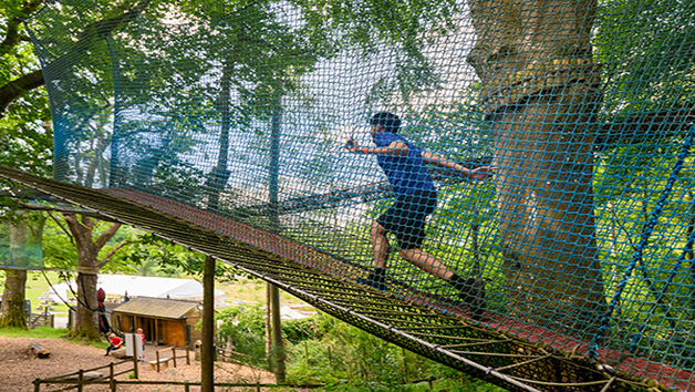 Treetop Nets Experience for One Child Image 2