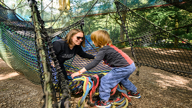 Fforest Coaster and Treetop Nets for One Adult and One Child at Zip World Betws-y-Coed Image 4