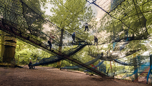 Treetop Nets Experience for One Child Image 5