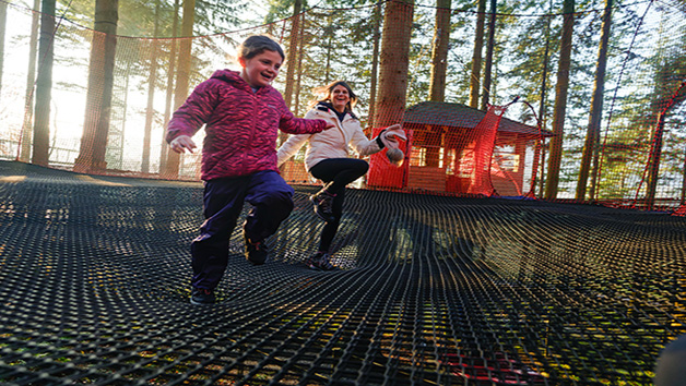 Fforest Coaster and Treetop Nets for One Adult and One Child at Zip World Betws-y-Coed Image 3