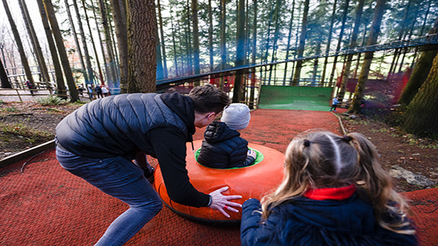 Treetop Nets Experience for One Child Image 3