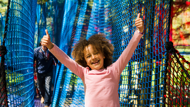 Fforest Coaster and Treetop Nets for One Adult and One Child at Zip World Fforest Image 3