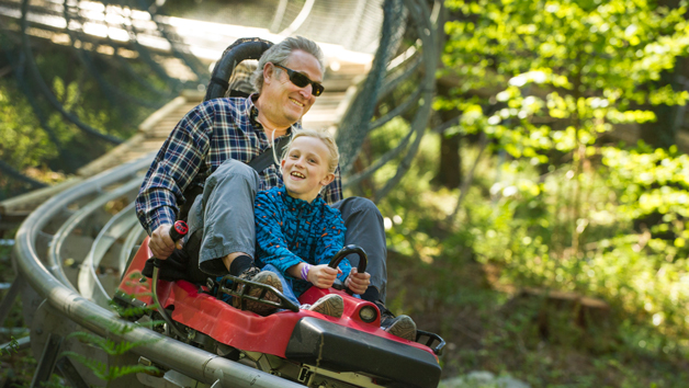 Fforest Coaster and Treetop Nets for One Adult and One Child at Zip World Fforest Image 4