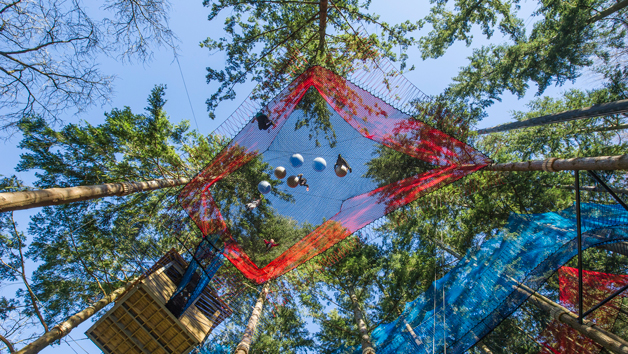 Fforest Coaster and Treetop Nets for One Adult and One Child at Zip World Fforest Image 5