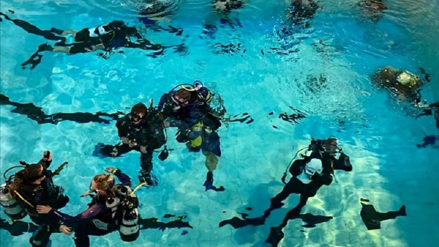 Discover Scuba Diving for One Person with Bolton Area Divers Image 2