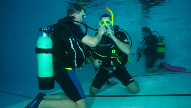 Click to view details and reviews for Discover Scuba Diving For Two People With Bolton Area Divers.