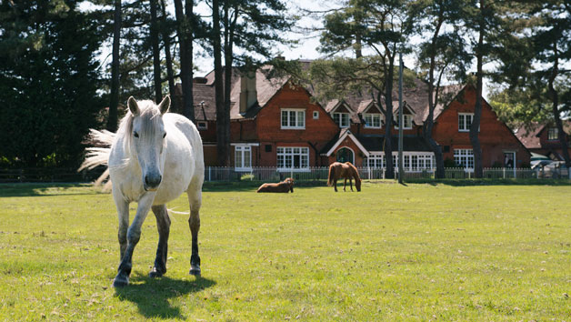 Two Night Hotel Break in a New Forest Hotel Image 3