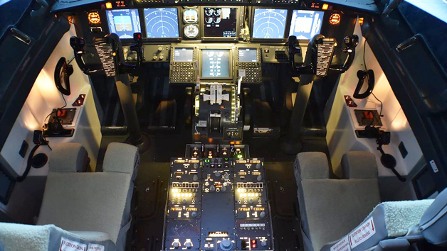 Boeing 737 Flight Simulator Experience for One Image 3