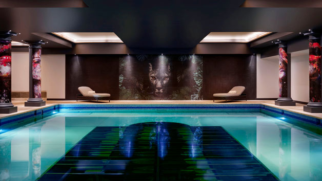 Spa Day with a 40 Minute Treatment and Dining for One at a Rena Spa Image 5