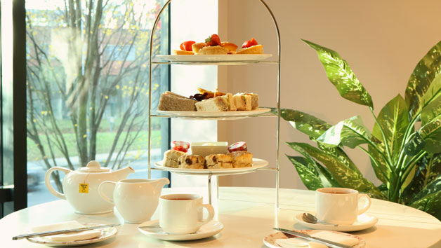 City Luxe Spa Day for One with Four Treatments, Cream Tea and Fizz at Manchester Piccadilly Hotel Image 3