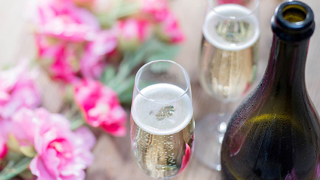 Elemis Spa Day with 50 Minutes of Treatments and Prosecco for Two at Bannatyne Image 3
