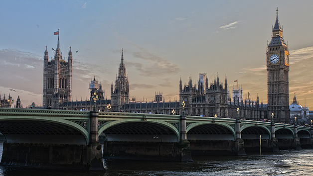 Hop On Hop Off River Cruise and Houses of Parliament for Two picture