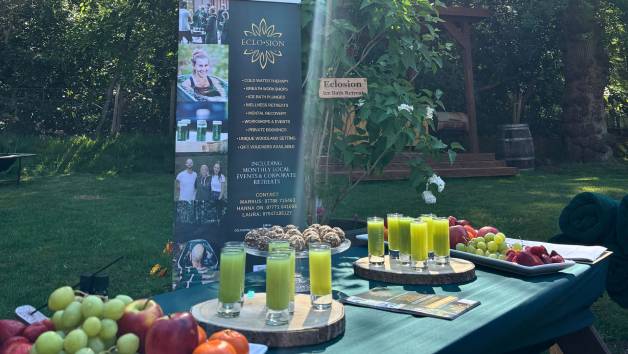 Midweek Twilight Wellness Workshop at Eclosion for Two picture