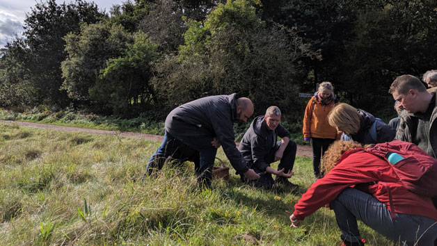 Foraging Walk for Two Adults and Two Children Image 2