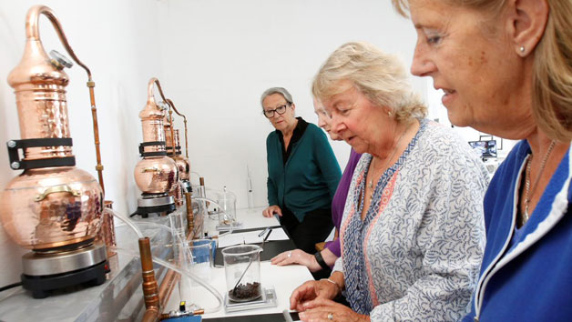 Gin or Cider Making Class at Fowey Valley Cidery & Distillery for Two Image 1