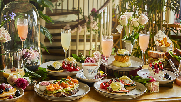 Botanical Bottomless Brunch for Two at Mr Fogg's Botanical Tavern Image 2