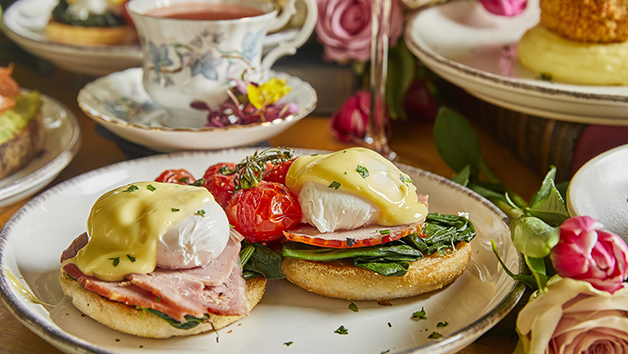 Botanical Bottomless Brunch for Two at Mr Fogg's Botanical Tavern Image 4