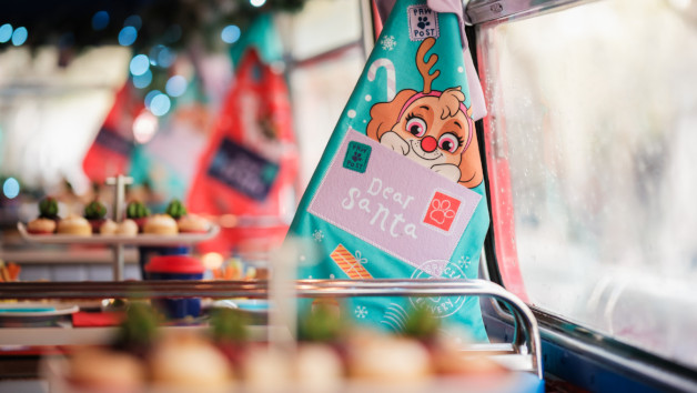 PAW Patrol Afternoon Tea Bus Tour with Brigit's Bakery for One Adult and One Child - Weekend picture