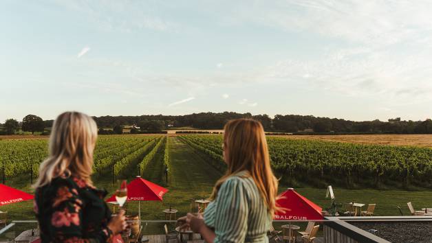Wine and Dine Experience at Balfour Winery for Two picture