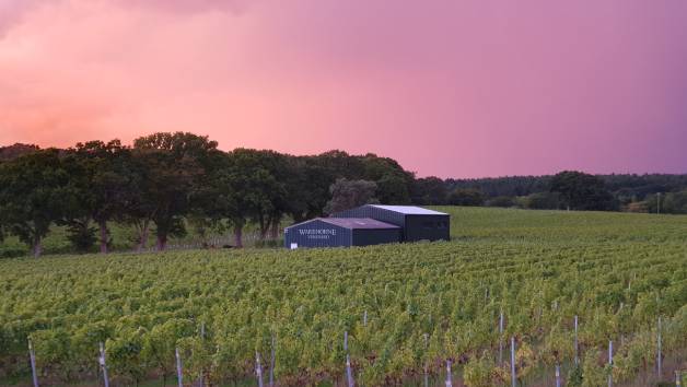 Wine Tour and Tasting at Warehorne Vineyard for Two picture