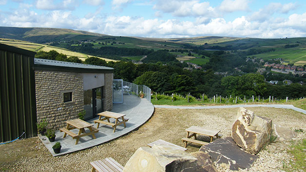 Vineyard Tour And Wine Tasting For Two At Holmfirth Vineyard