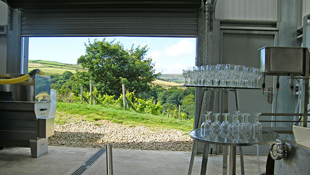 Vineyard Tour, Wine Tasting and Afternoon Tea for Two at Holmfirth Vineyard Image 3