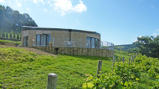 Click to view details and reviews for Vineyard Tour With Lunch And Wine Tasting For Two In Yorkshire.